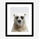 Polar Shades Art Print
