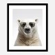 Polar Shades Art Print