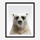 Polar Shades Art Print