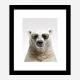 Polar Shades Art Print