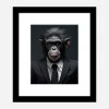 Framed Print 