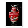 Poster Print 