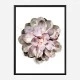 Succulent 01 Wall Art Print