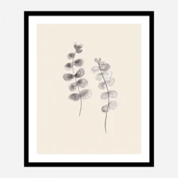 Eucalyptus Twigs Wall Art Print