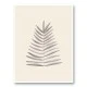 Palm Leaf Ink Wall Art Print