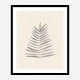 Palm Leaf Ink Wall Art Print