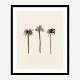 Palm Trees Ink Wall Art Print