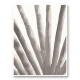 Aloe Vera Wall Art Print