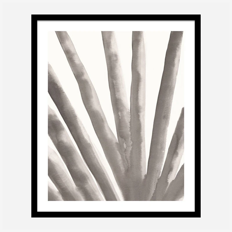 Aloe Vera Wall Art Print