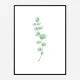 Branch Wall Art Print