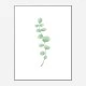 Branch Wall Art Print