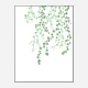 Birch Tree Wall Art Print