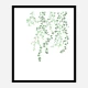 Birch Tree Wall Art Print