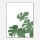 Monstera Aqua 04 Wall Art Print