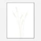 Wheat Grass Wall Art Print