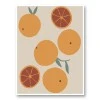 Poster Print 