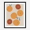 Framed Print 
