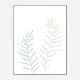 Pale Plants Wall Art Print