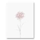 Peony 2 Wall Art Print
