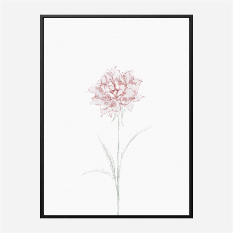 Peony 2 Wall Art Print