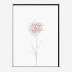 Peony 2 Wall Art Print