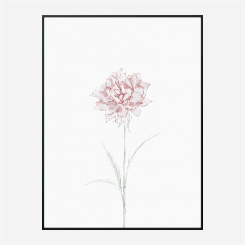 Peony 2 Wall Art Print