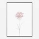 Peony 2 Wall Art Print