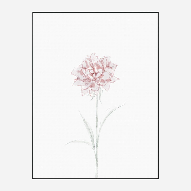 Peony 2 Wall Art Print