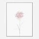 Peony 2 Wall Art Print
