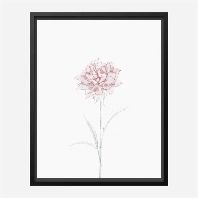 Peony 2 Wall Art Print