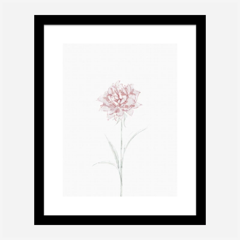 Peony 2 Wall Art Print