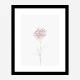 Peony 2 Wall Art Print