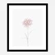 Peony 2 Wall Art Print