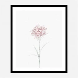 Peony 2 Wall Art Print