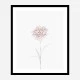Peony 2 Wall Art Print