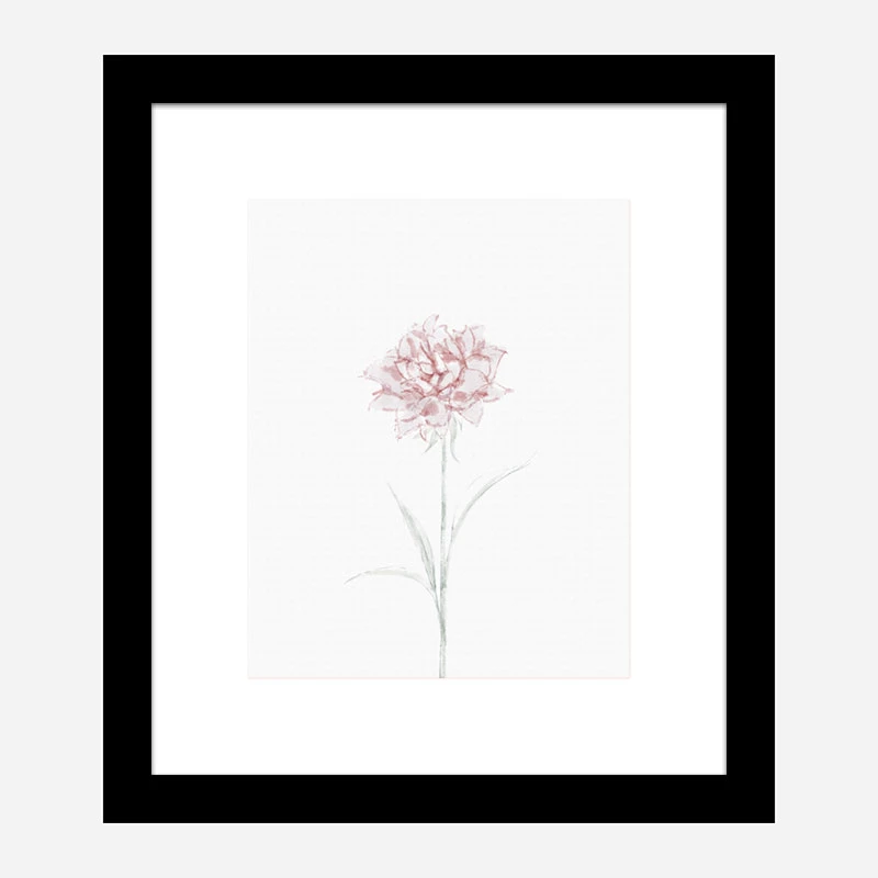 Peony 2 Wall Art Print