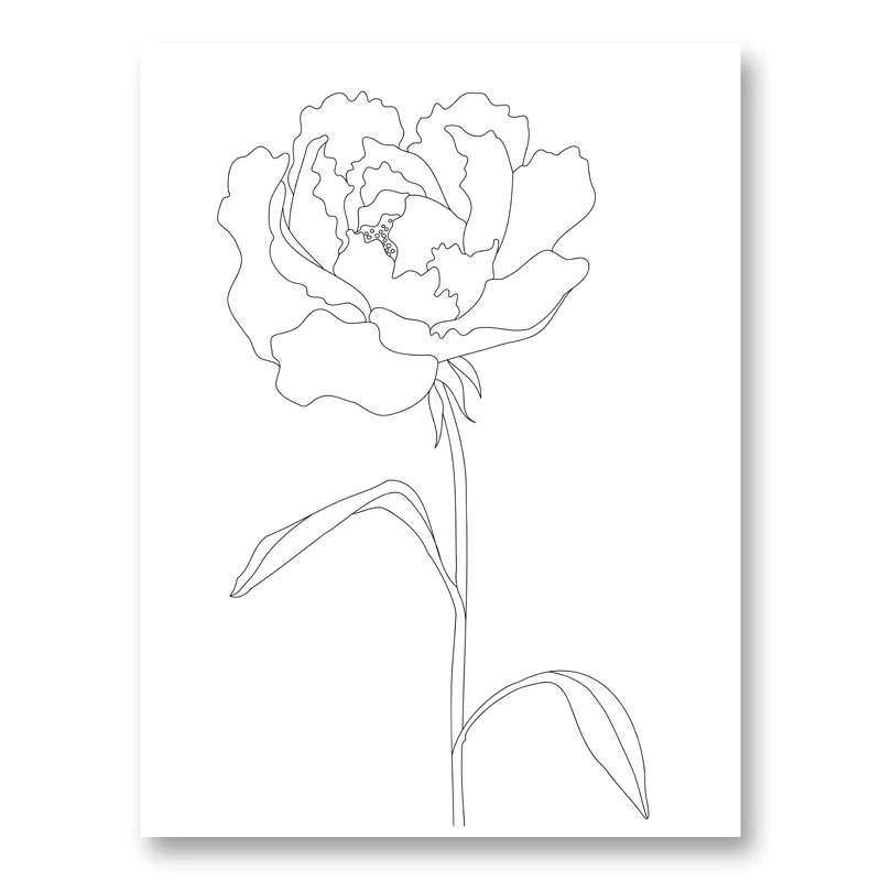 Peony Lines Wall Art Print