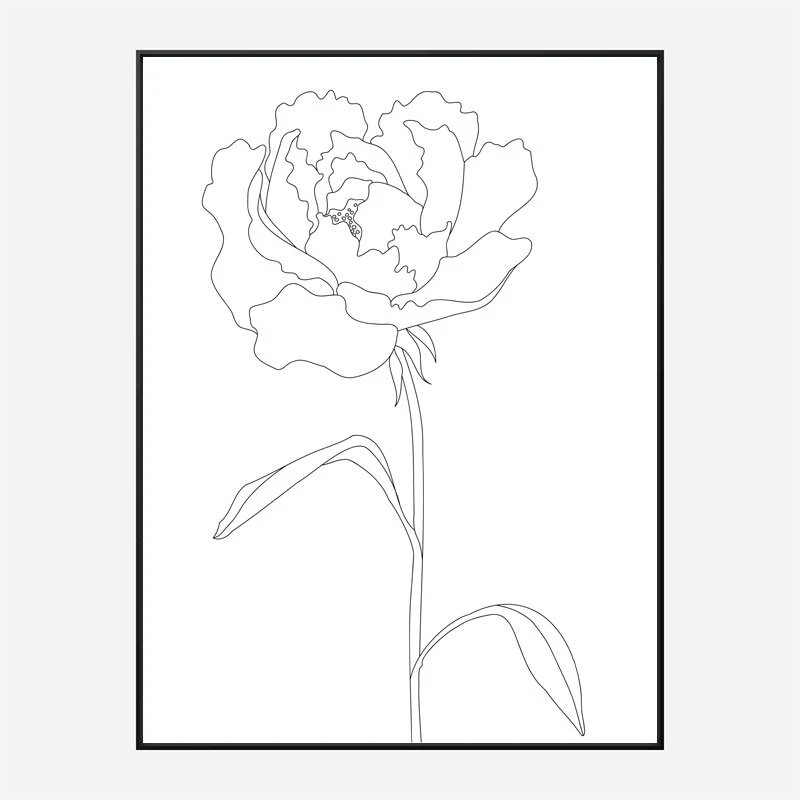 Peony Lines Wall Art Print