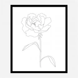 Peony Lines Wall Art Print