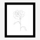 Peony Lines Wall Art Print