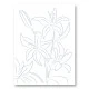 Lillies No 01 Art Print