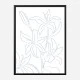 Lillies No 01 Art Print