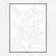 Lillies No 01 Art Print