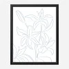 Framed Canvas 