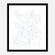 Lillies No 01 Art Print