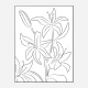 Lillies No 02 Art Print