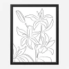 Framed Canvas 