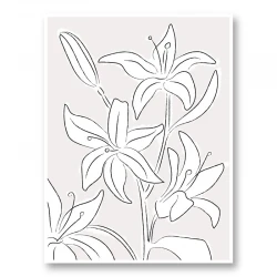 Lillies No 03 Art Print
