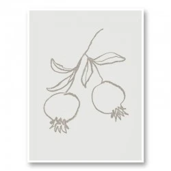 Pomegranate Green Art Print