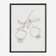 Pomegranate Green Art Print